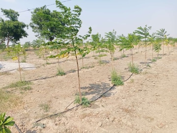  Plot For Sale in Raigiri