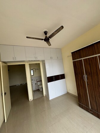 2 BHK Apartment For Rent in Pyramid Urban Homes 3 Sector 67a Gurgaon  7719938