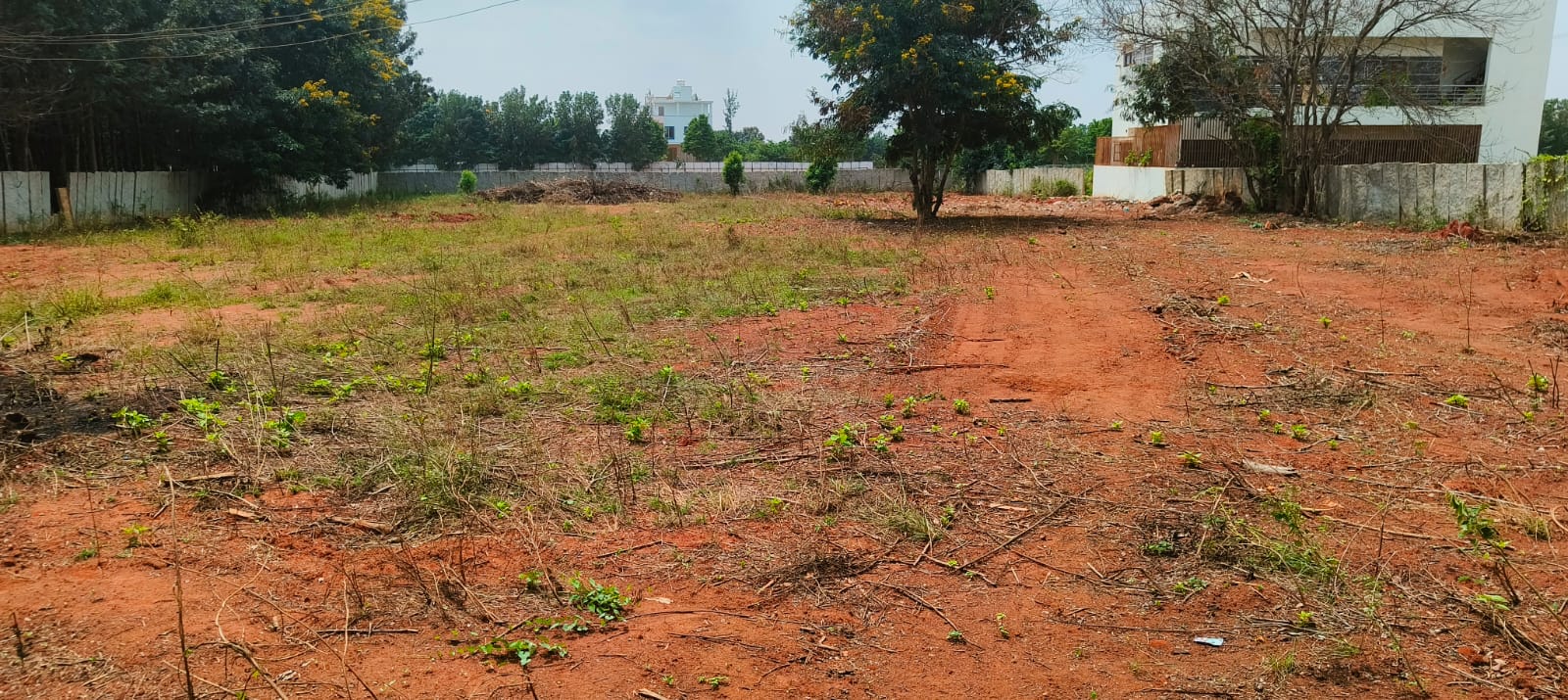 Plot For Resale in Ram Nagar Colony Bareilly  7714562