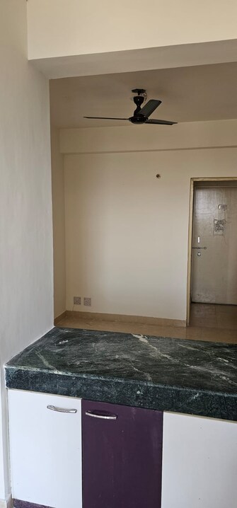 2 BHK Apartment For Rent in Conscient Habitat Sector 99a Gurgaon  7720191