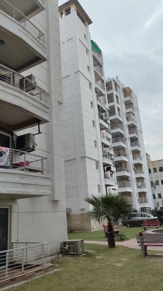 4 BHK Apartment For Resale in Sector 33 Faridabad  7720536