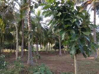 Commercial Land 4 Acre For Resale in Gudiyatham Vellore  7720123