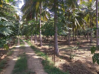 Commercial Land 4 Acre For Resale in Gudiyatham Vellore  7720123