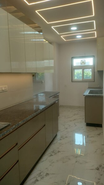 3 BHK Builder Floor For Rent in Indraprastha Delhi  7720963