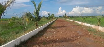 Commercial Land 720 Sq.Ft. For Resale in Vijayawada One Town Vijayawada  7720984