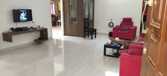 2 BHK Apartment For Rent in Dommlur Domlur Bangalore  7721198