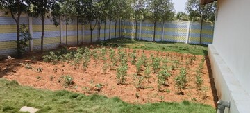 Plot Area in  Plot at Hayathabad – for Sale