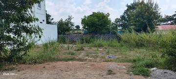 Plot For Resale in Gowlidoddy Hyderabad  7721248