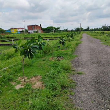 Plot For Resale in HLP Palmillas International Airport Road Zirakpur  7721539