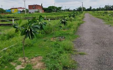 Plot For Sale in HLP Palmillas, International Airport Road