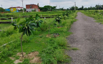 Plot For Sale in HLP Palmillas, International Airport Road