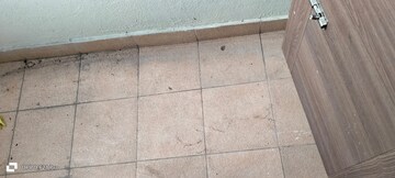 रेसिडेन्शियल बिल्डर फ्लोर वर्ग फुट फॉर रेंट इन इंदिरानगर बैंगलोर  7721839