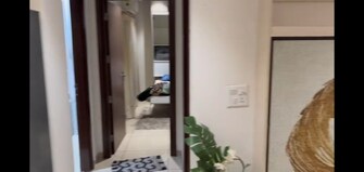 2 BHK Apartment For Resale in Gulshan Botnia Sector 144 Noida  7722437