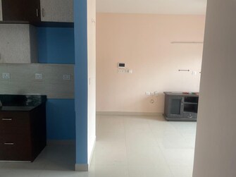 2 BHK Apartment For Resale in SJR Hamilton Homes Off Sarjapur Road Bangalore  7722511