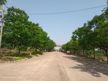 Plot Area in  Plot at Kandul – for Sale