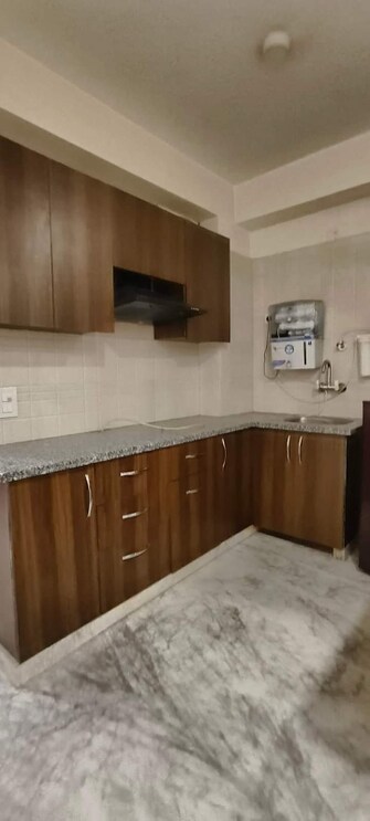 1 BHK Builder Floor For Rent in Sector 14 Gurgaon  7723065