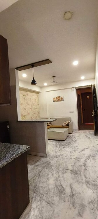 1 BHK Builder Floor For Rent in Sector 14 Gurgaon  7723065