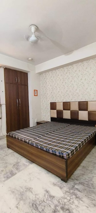 1 BHK Builder Floor For Rent in Sector 14 Gurgaon  7723065