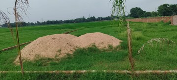   Plot at Bihta – for Sale