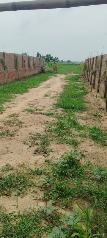  Plot – Exterior View View at Bihta - for Sale