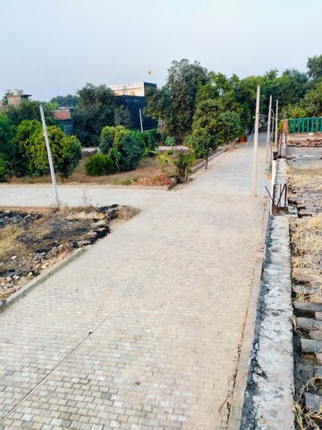 Plot Area in  Plot at Dhoom Manikpur – for Sale