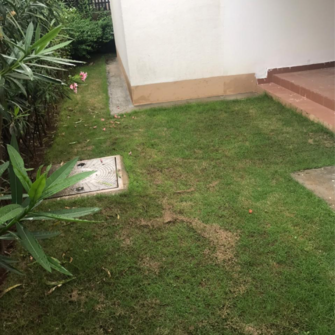 3 BHK Villa For Rent in Prestige Augusta Golf Village Anagalapura Bangalore  7724531