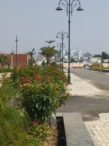  Plot – Exterior View View at Iim Road - for Sale