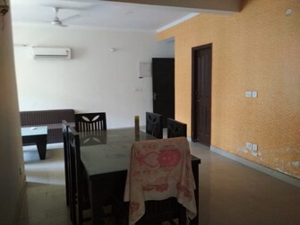 3 BHK Apartment For Rent in Maya Garden City Lohgarh Zirakpur  7725471