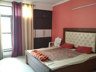 3 BHK Apartment For Rent in Maya Garden City Lohgarh Zirakpur  7725471