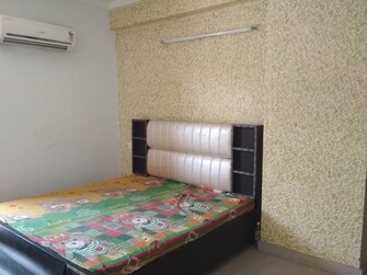 3 BHK Apartment For Rent in Maya Garden City Lohgarh Zirakpur  7725471