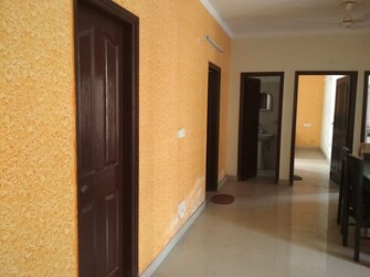 3 BHK Apartment For Rent in Maya Garden City Lohgarh Zirakpur  7725471