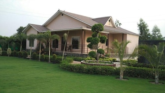 Plot For Resale in Wazidpur Noida  7725491