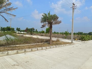 Plot Area in  Plot at Sai Sandeep LR Green Shields, Cheeriyal – for Sale