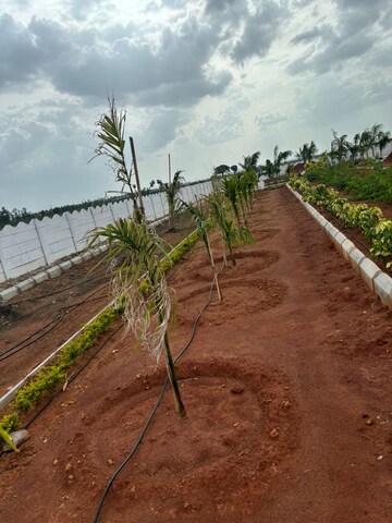 Plot Area in  Plot at Sri Bhumi Eeshaanya, Kankipadu – for Sale
