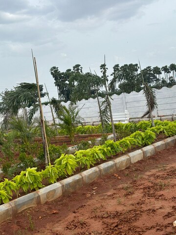 Plot Area in  Plot at Sri Bhumi Eeshaanya, Kankipadu – for Sale