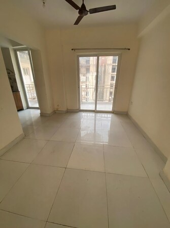 2 BHK Apartment For Rent in JNC The Park Noida Ext Sector 16c Greater Noida  7726087