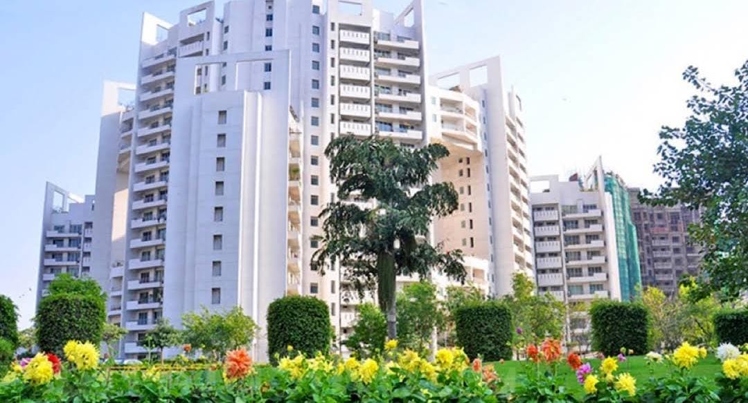 3 BHK Apartment For Rent in Parsvnath Exotica Sector 53 Gurgaon  7726294