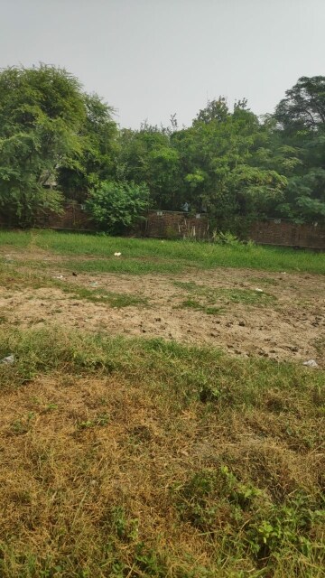  Plot For Sale in Aerocity