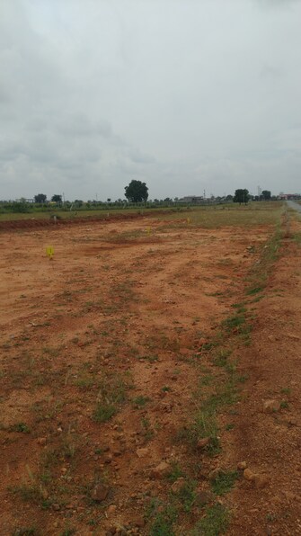 Plot For Resale in Rudrampeta Anantapuram  7726464