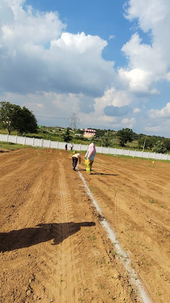 Plot For Resale in Indo Magadha Kadthal Hyderabad  7726658