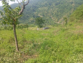 Plot For Resale in Indraprastha Dehradun  7680663