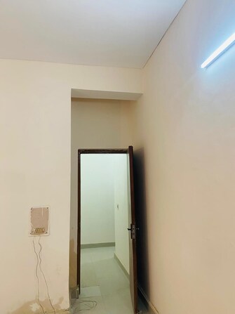 3 BHK Apartment For Rent in RWA Apartments Sector 37 Sector 37 Noida  7727015