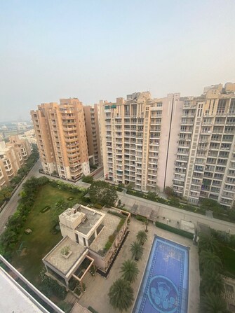 4 BHK Apartment For Resale in Raheja Atharva Sector 109 Gurgaon  7727227