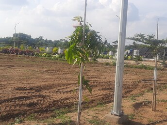 Plot For Resale in Gollor Hyderabad  7727291