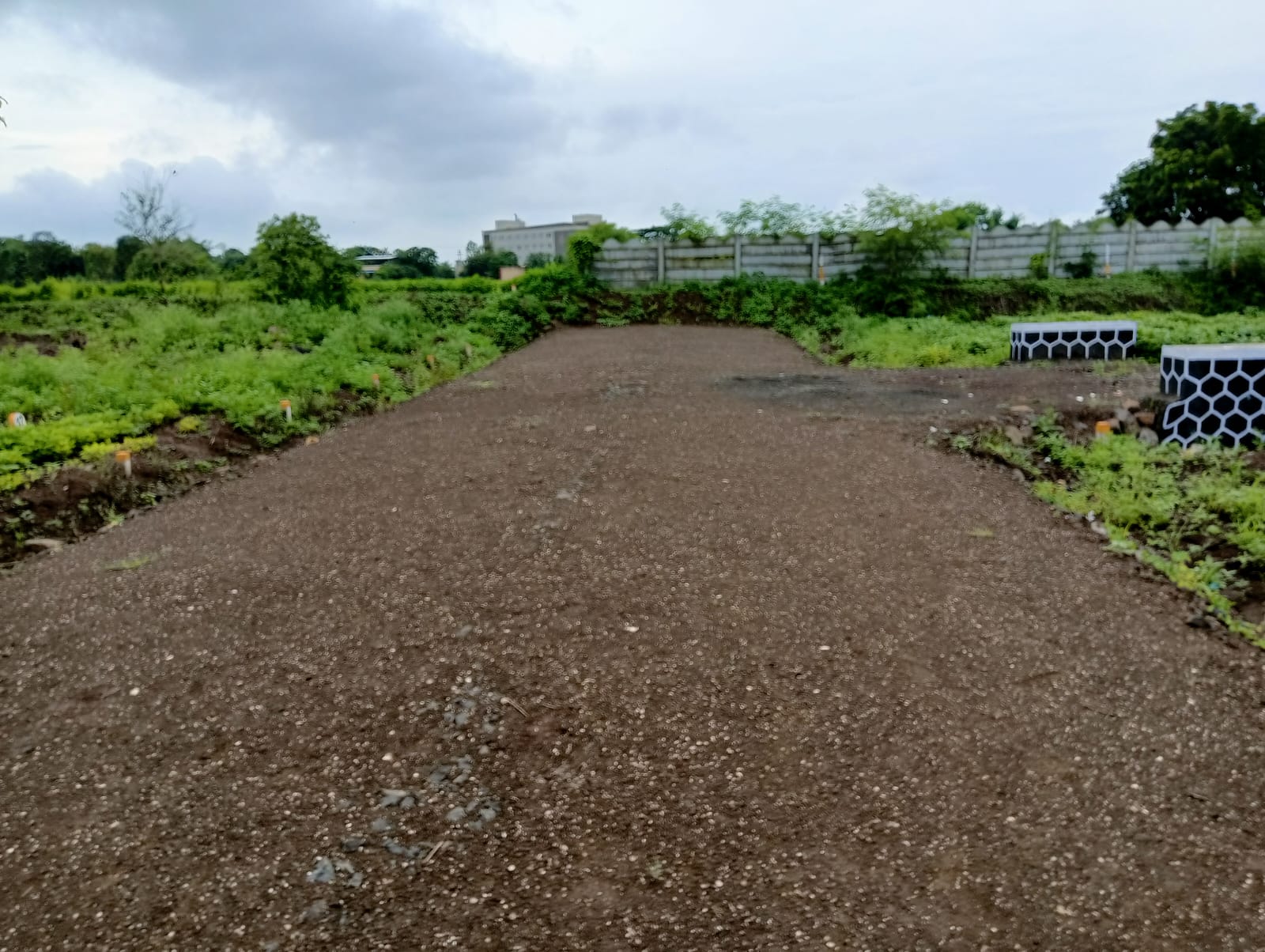 Plot For Resale in Kankipadu Vijayawada  7727383