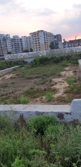 Plot For Resale in Jagatpura Jaipur  7727937