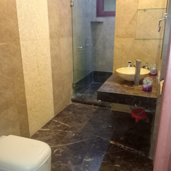 3 BHK Builder Floor For Rent in Pamposh Enclave Delhi  7728220