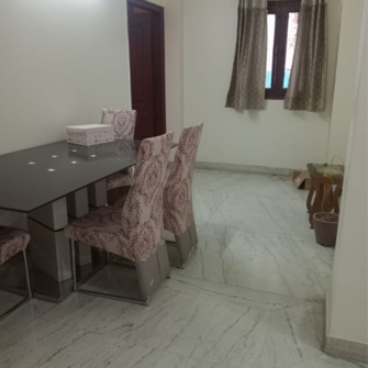 3 BHK Builder Floor For Rent in Pamposh Enclave Delhi  7728220