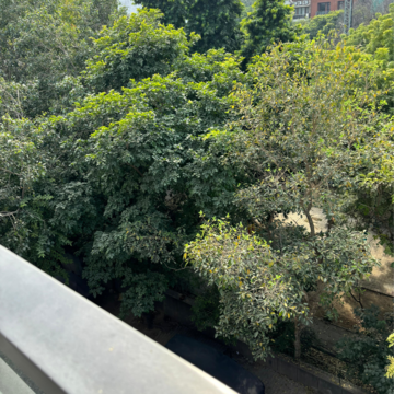 3.5 BHK Builder Floor – Garden View at Defence Colony - for Sale