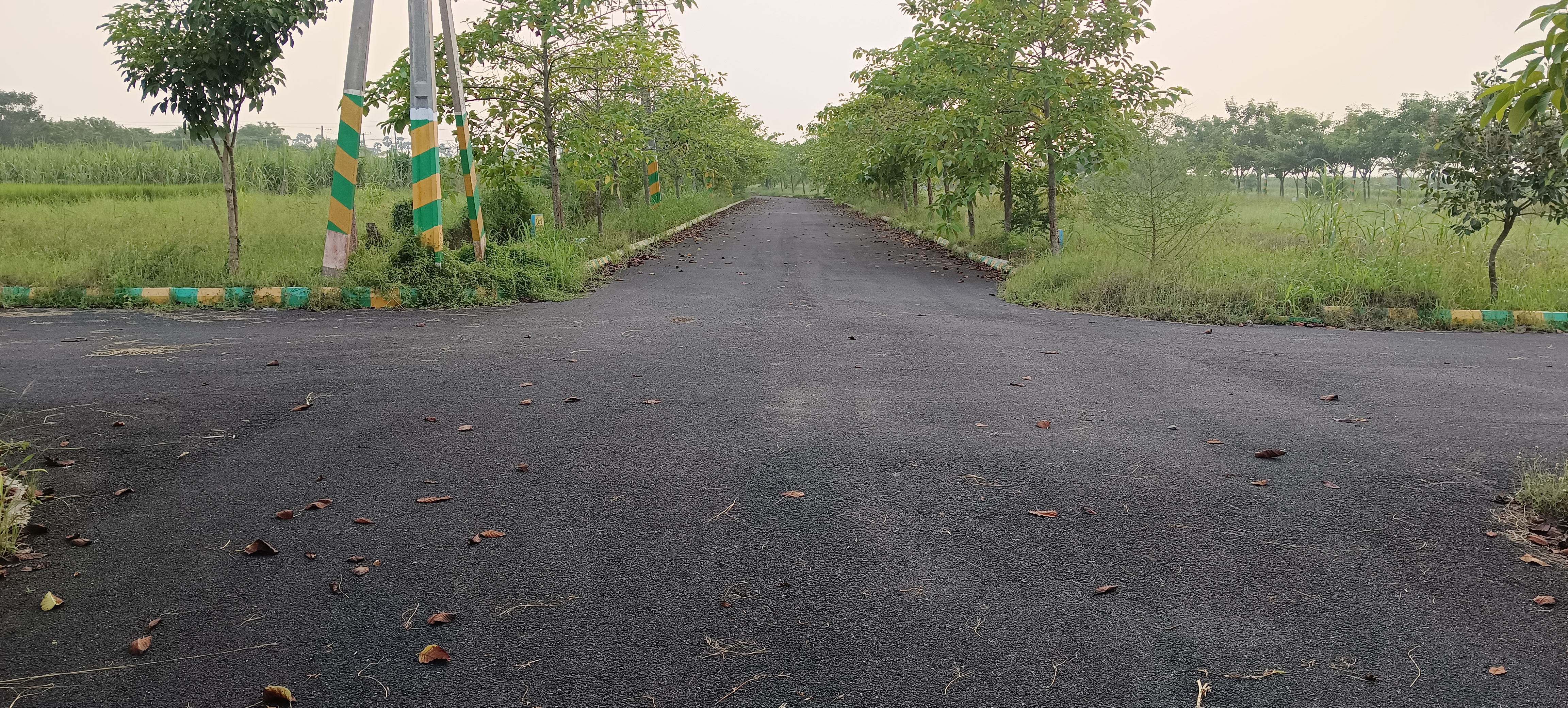 रेसिडेंशियल प्लॉट वर्ग यार्ड फॉर रीसेल इन चिट्टीनगर विजयवाडा  7728389